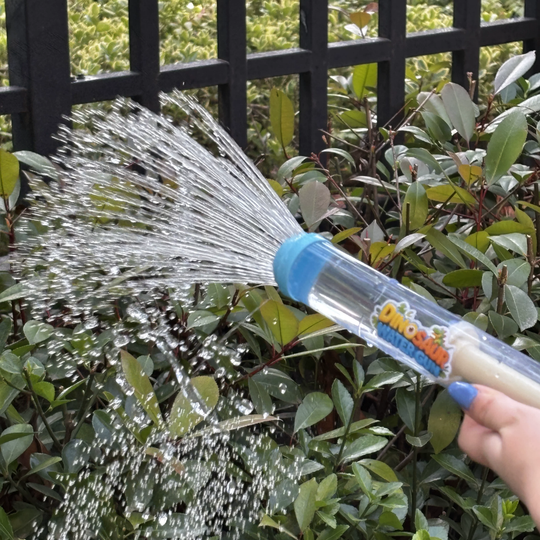 Pull-and-push water squirter for easy spraying