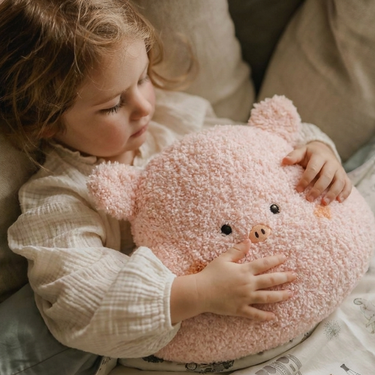 Florina Cuddle Pig Plush Toy — Clean Modern Quality Companion