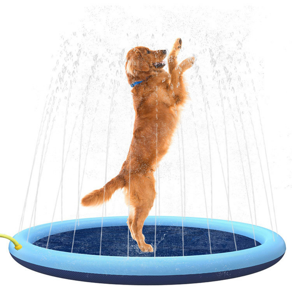 Colourful sprinkler mat for kids and pets together