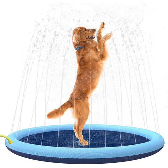 Colourful sprinkler mat for kids and pets together