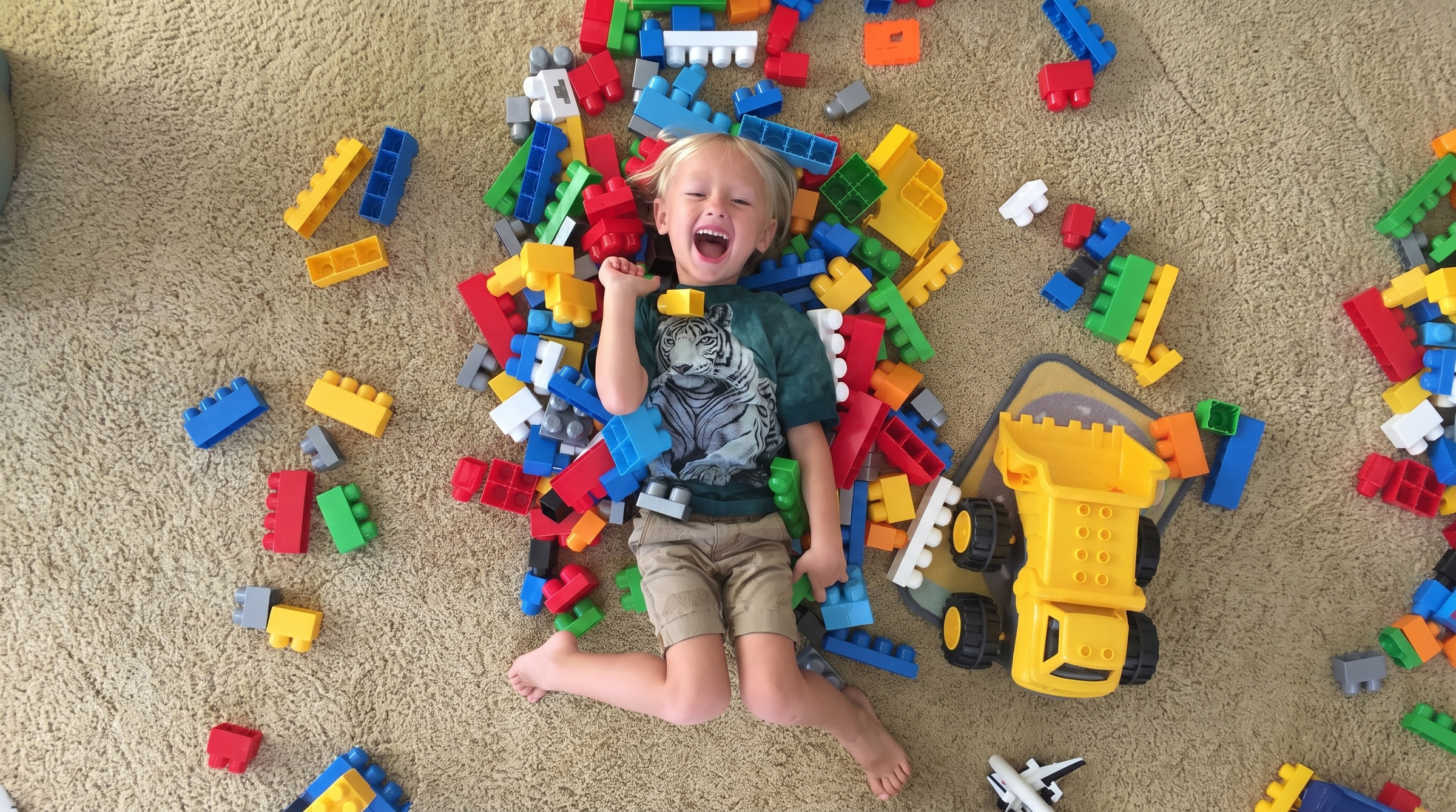 cicimi toys banner wide