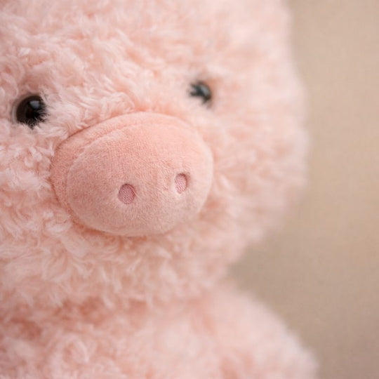 Rosie Snuggle Pig Plush Toy — Clean Quality for Kids